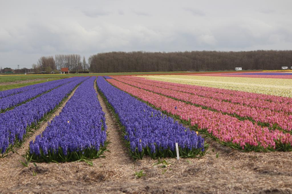 Hotel Arosa Zandvoort Luaran gambar